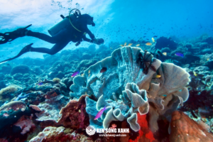 Du lịch đảo Boracay Philippines
